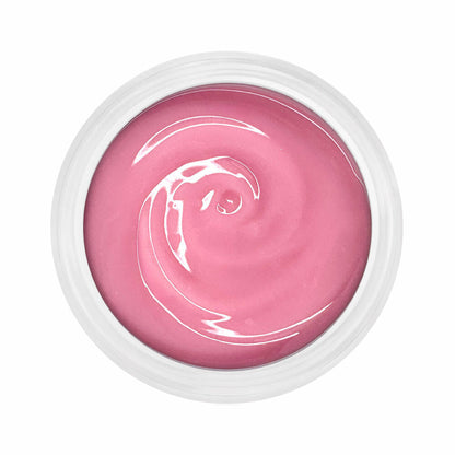 Mega Starter Deal Bundle