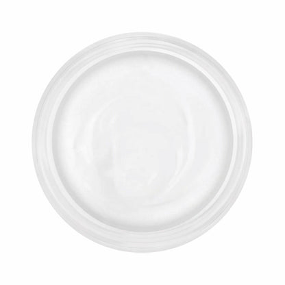 Mega Starter Deal Bundle