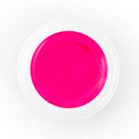 Mega Starter Deal Bundle