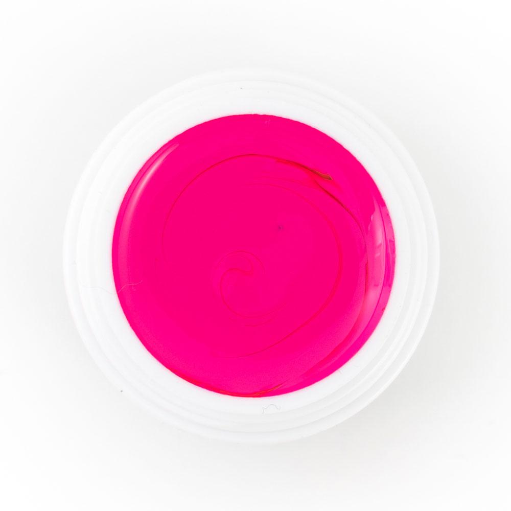 Mega Starter Deal Bundle