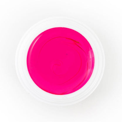 Mega Starter Deal Bundle