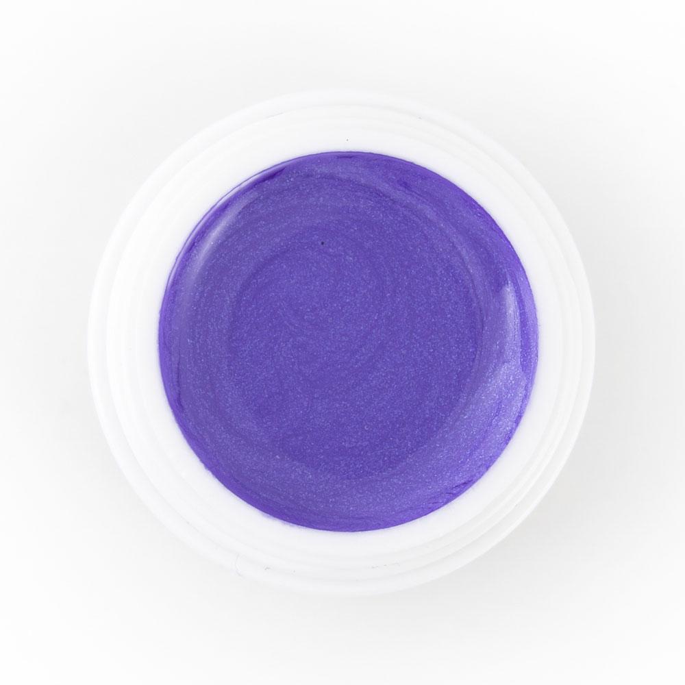 Shiny Purple Grey - 080