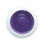 Shiny Purple - 229
