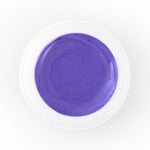 Shiny Purple Grey - 080