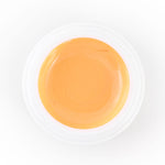 Light Orange - 055